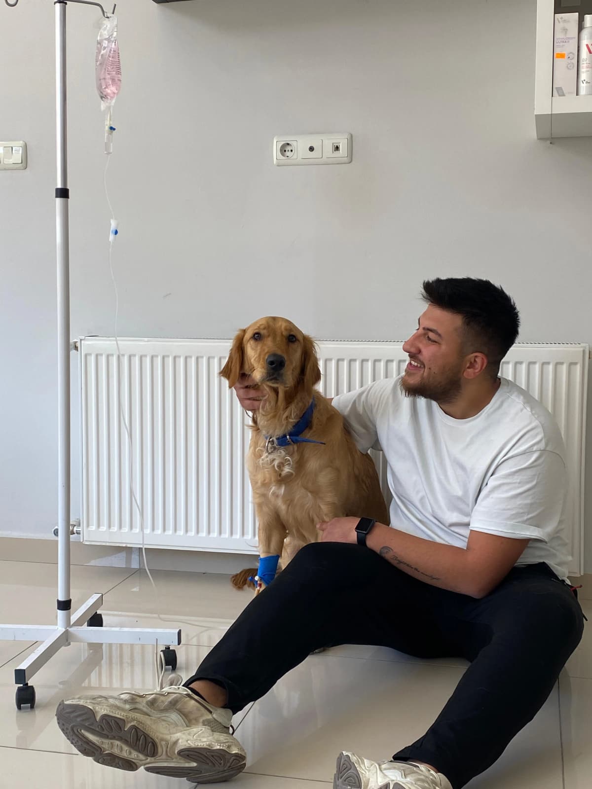 Köpek